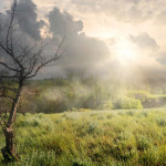 Krishna Venkatesh - A Beautiful Thing - Sunshine After Friend's Abrupt Disappearance